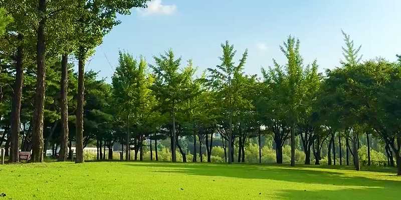 선유도 공원
