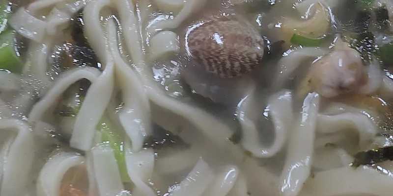 햇빛칼국수집