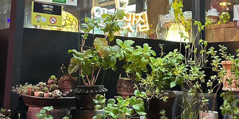 인생건어물