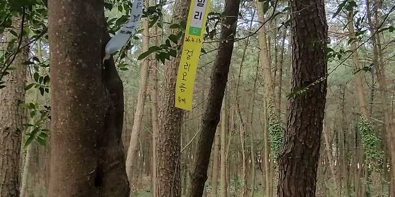 걸리오름