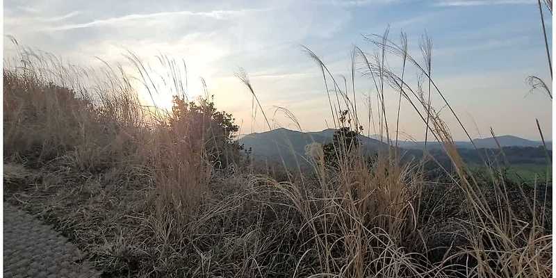 밧돌오름