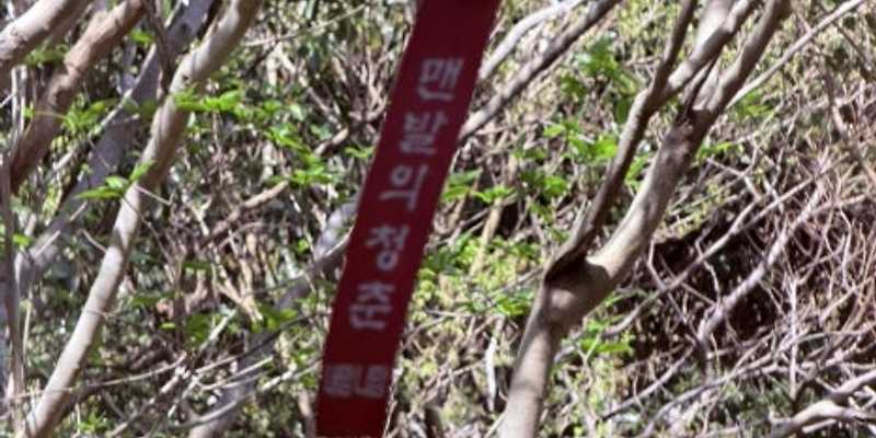 병곳오름