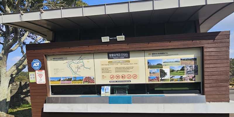 항파두리항몽유적지 전시실