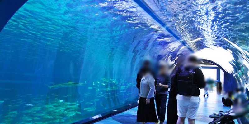 아쿠아플라넷제주 오름언덕
