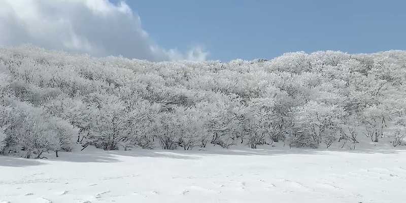 사라오름