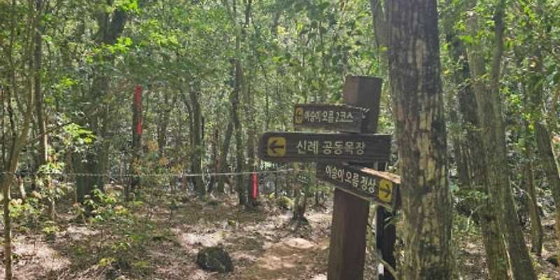 한라산둘레길 수악길