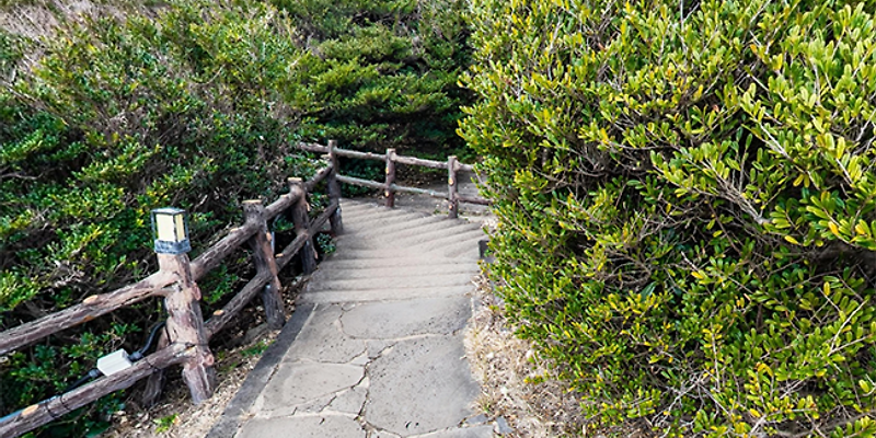 큰엄전망대