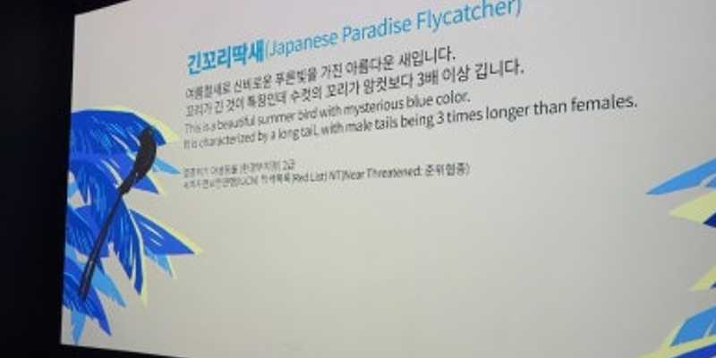 버디프렌즈 플래닛