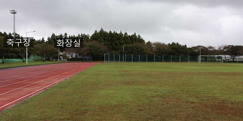 표선생활체육관