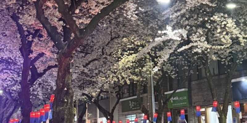 돈앤삼겹 삼도점