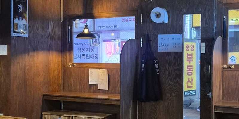 정술