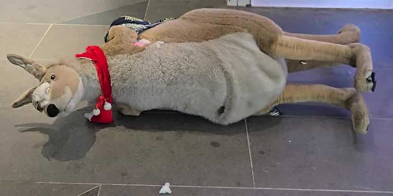 노량진 수산시장
